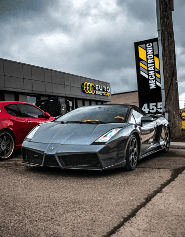 GALLARDO